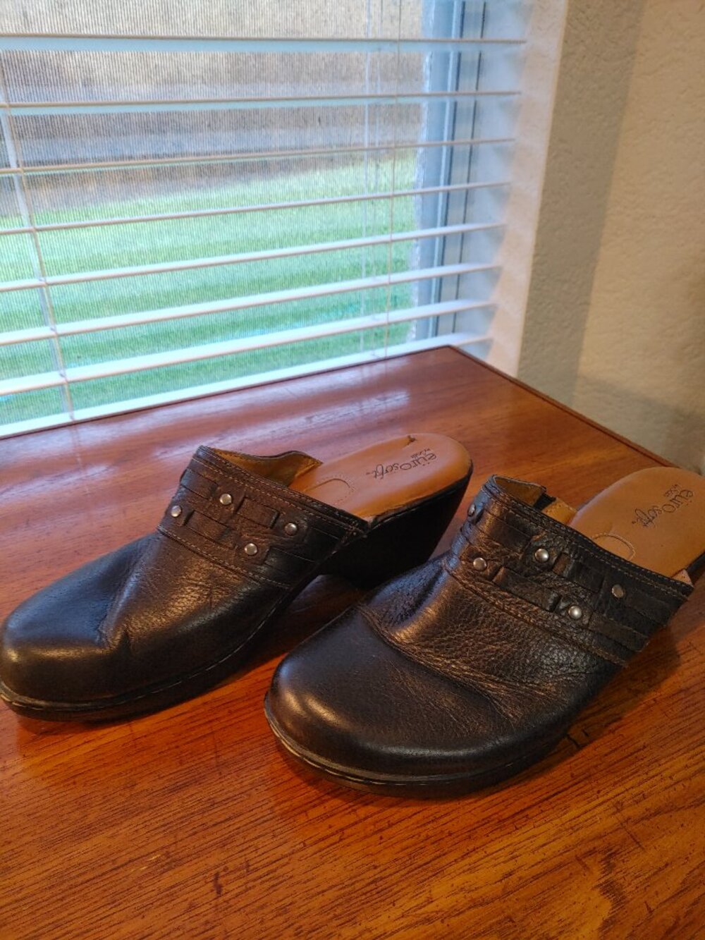 EuroSoft shoes Size 8.5M